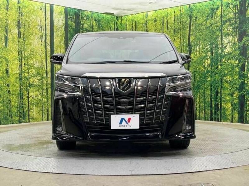 ALPHARD-14
