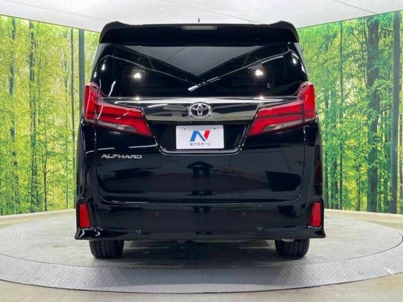 ALPHARD-15