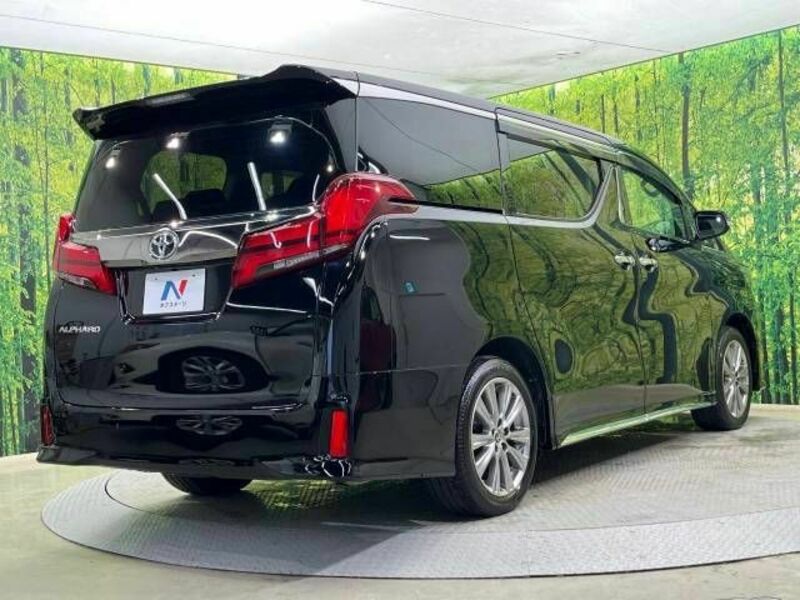 ALPHARD-16