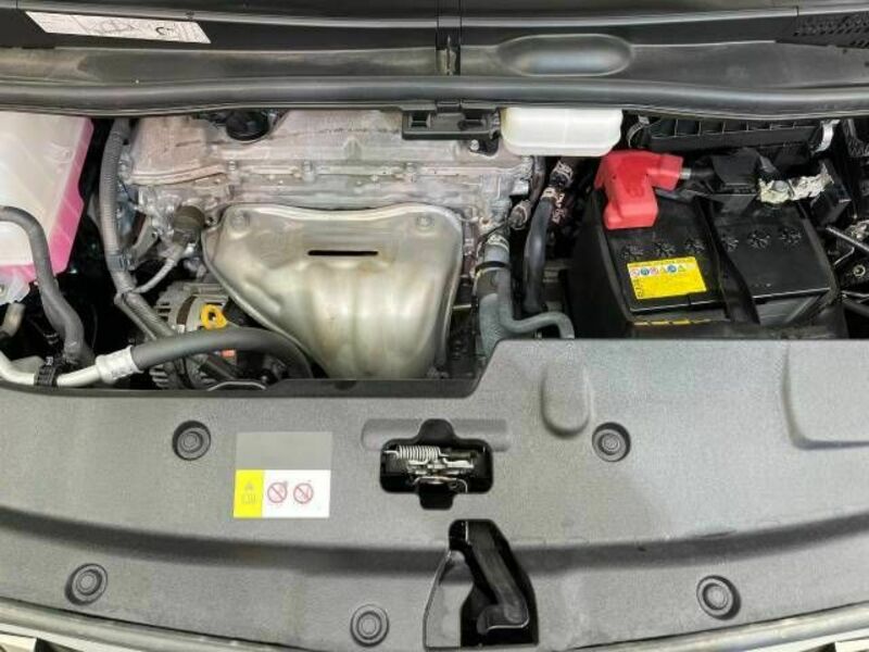 ALPHARD-17