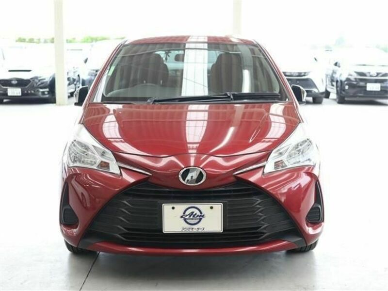 VITZ-19