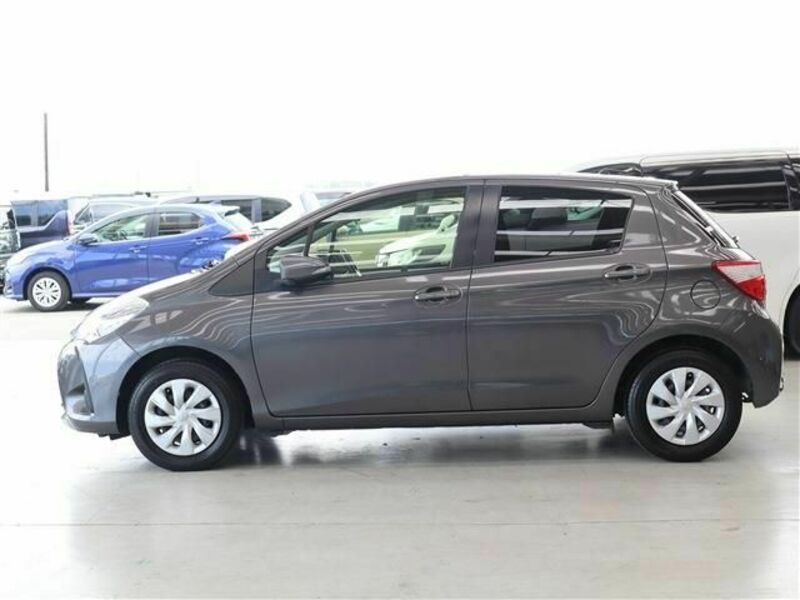 VITZ-22