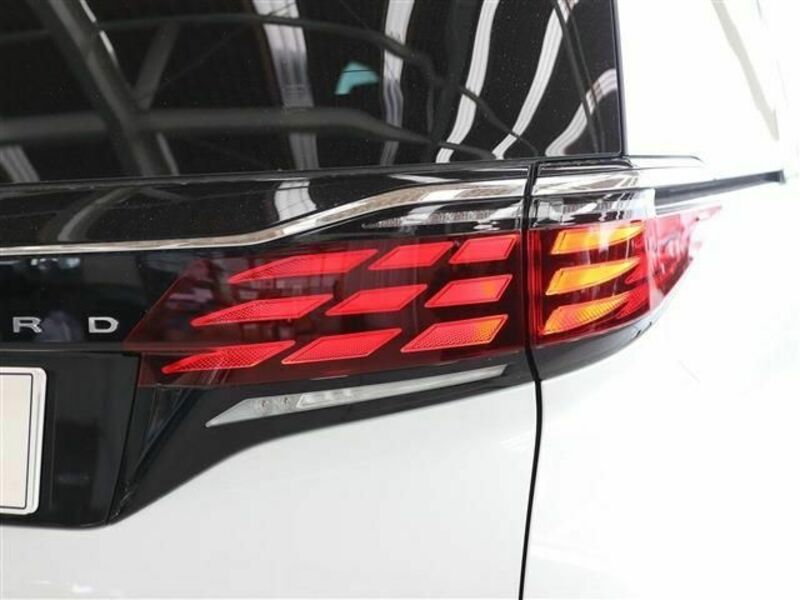 ALPHARD-8