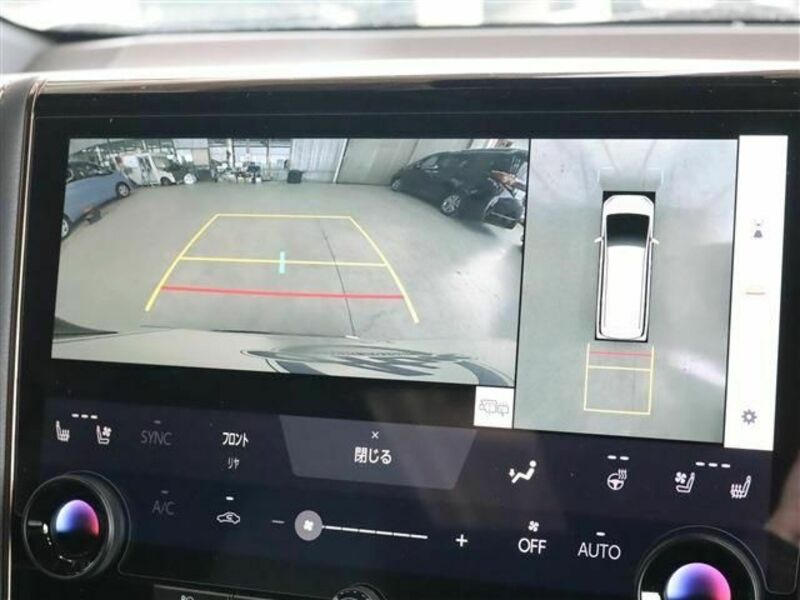 ALPHARD-12