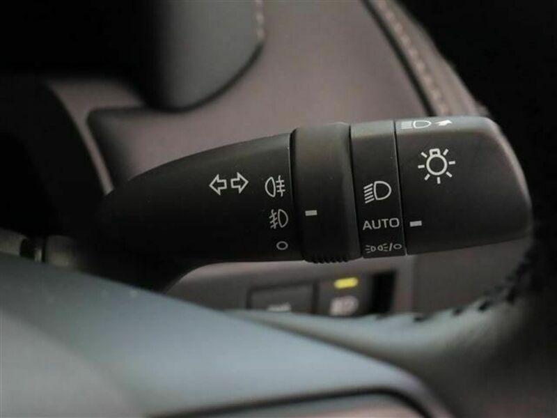 ALPHARD-26