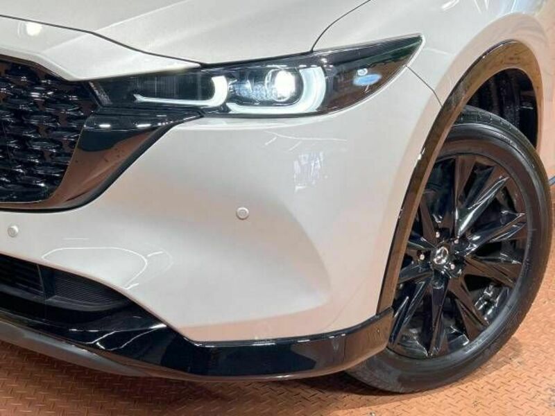 CX-5-11