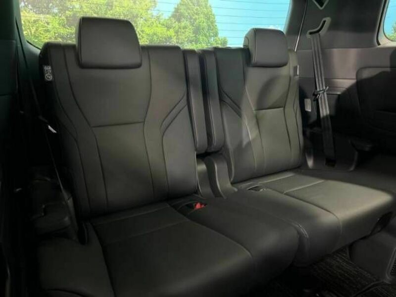 ALPHARD-10