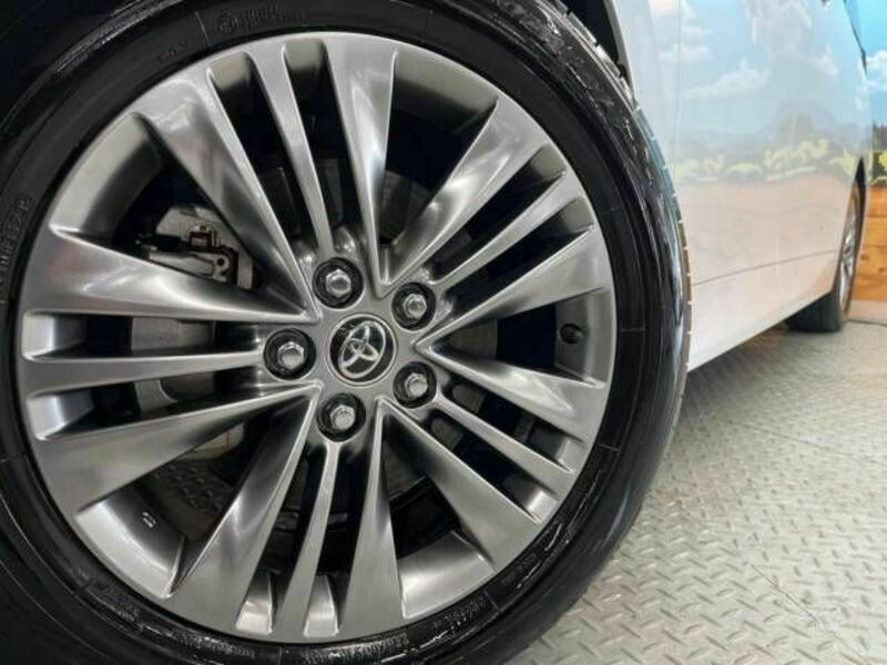 ALPHARD-14