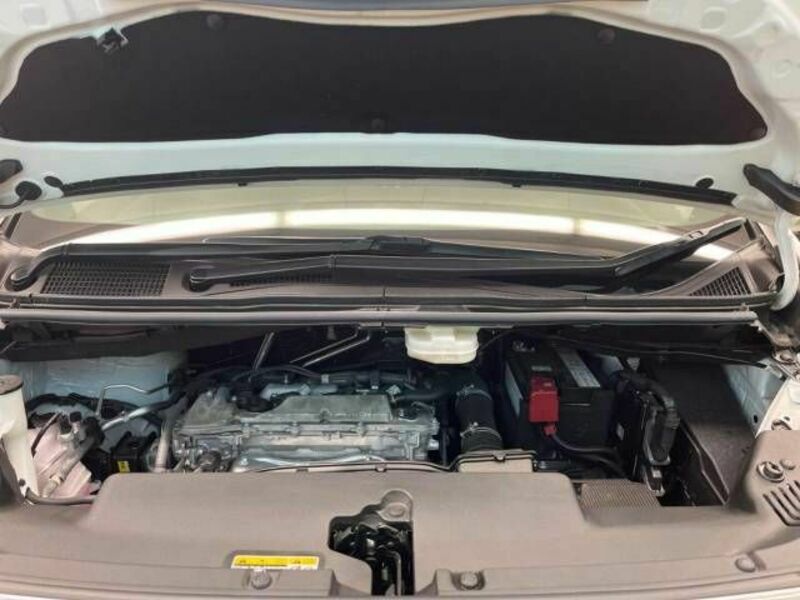 ALPHARD-19