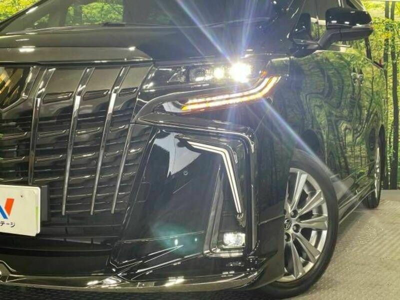 ALPHARD-12