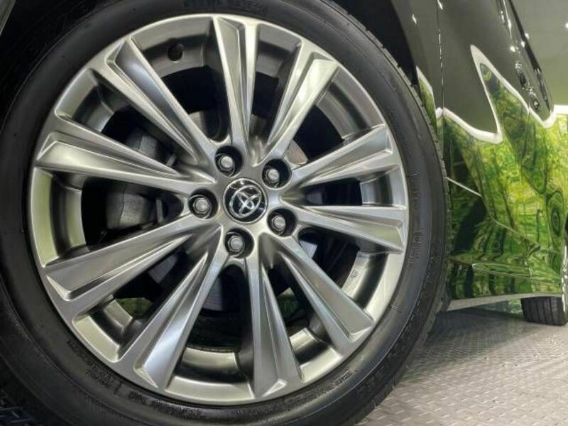 ALPHARD-13