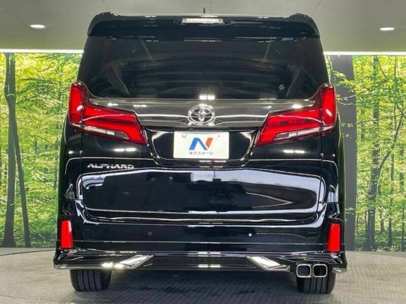 ALPHARD-15