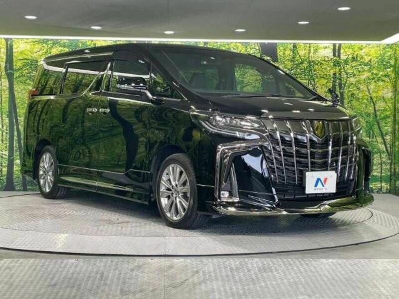 ALPHARD-16