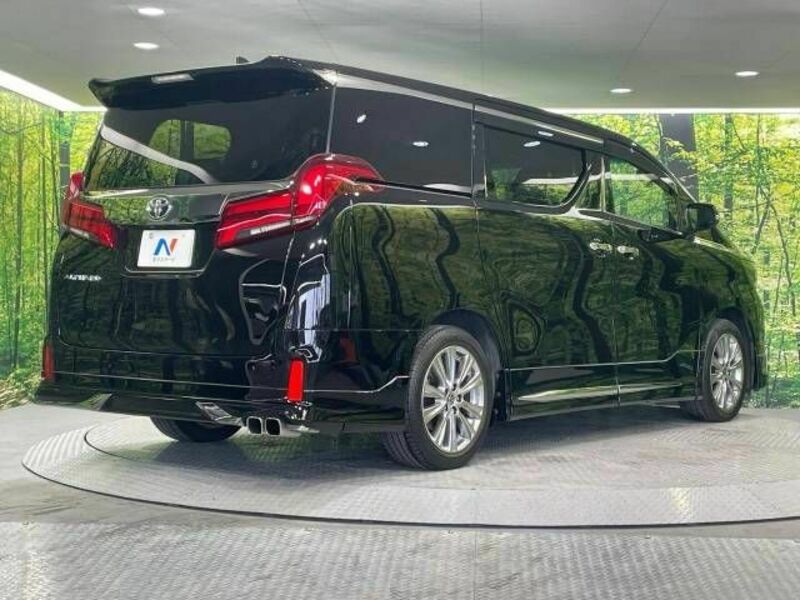 ALPHARD-17