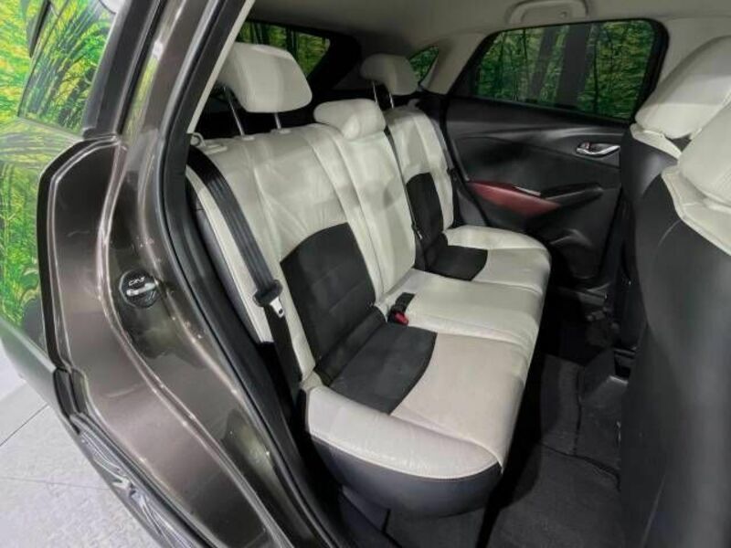 CX-3-8
