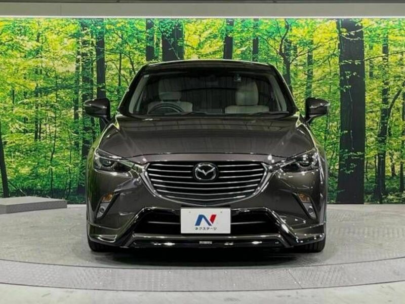 CX-3-13