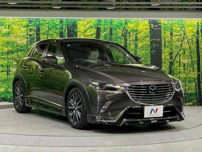 CX-3-15