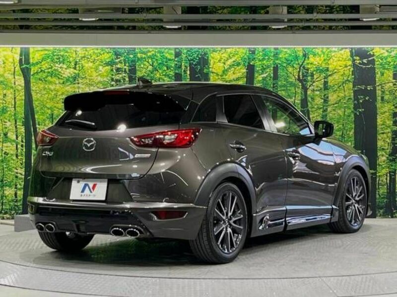 CX-3-16