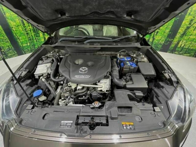 CX-3-17