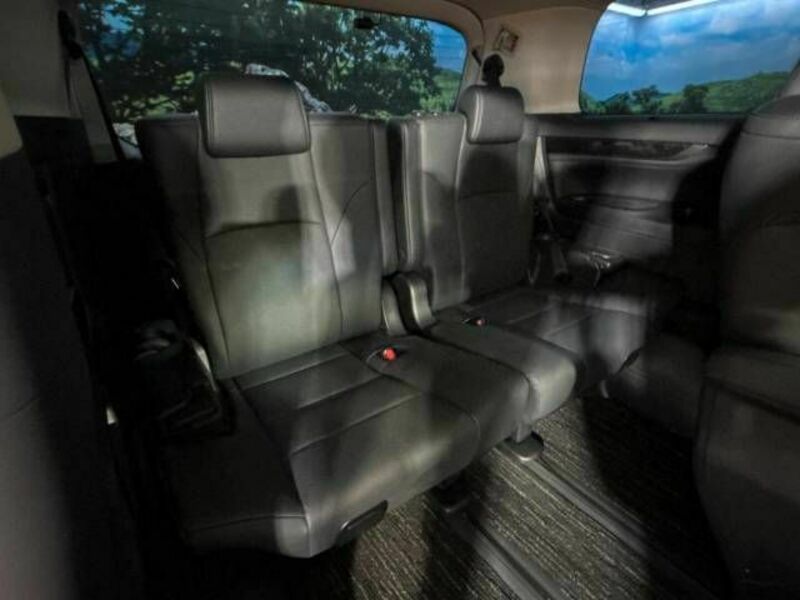 ALPHARD-10