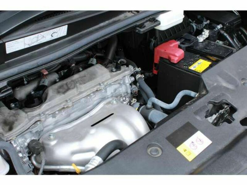 ALPHARD-4