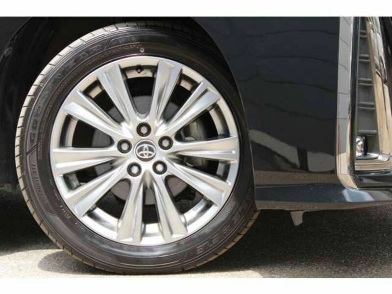 ALPHARD-6