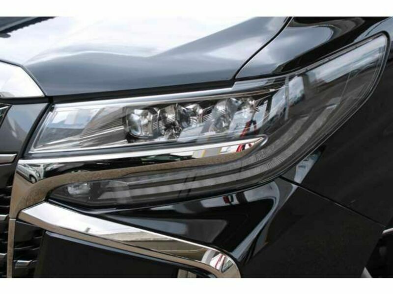 ALPHARD-10
