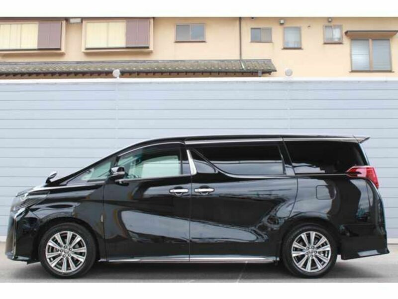 ALPHARD-13