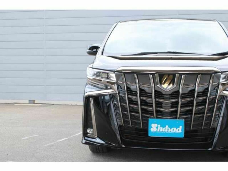 ALPHARD-18