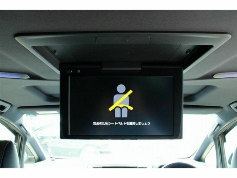 ALPHARD-21