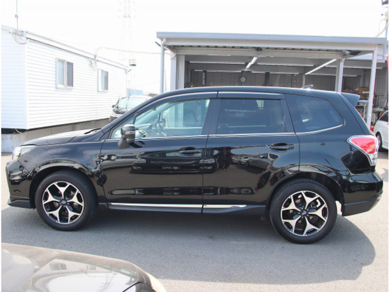 FORESTER