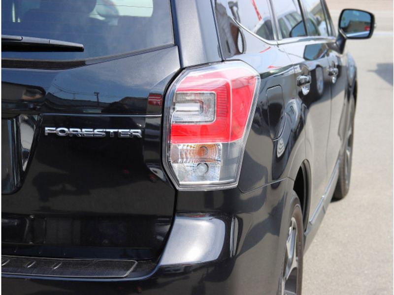 FORESTER