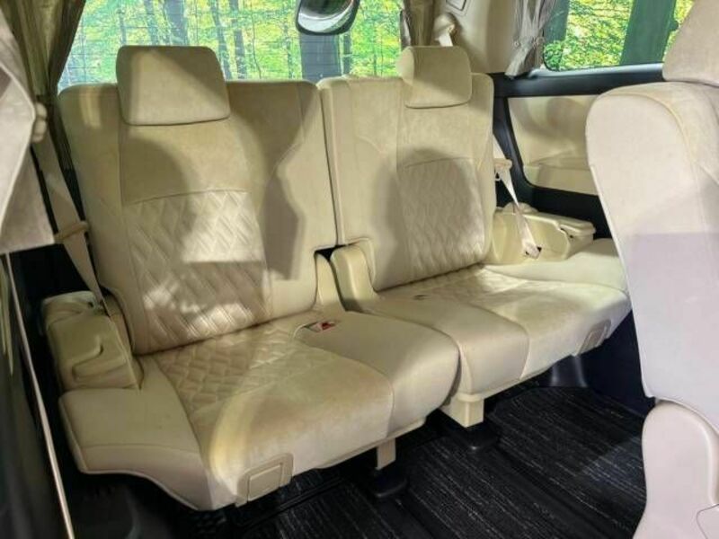 ALPHARD-10