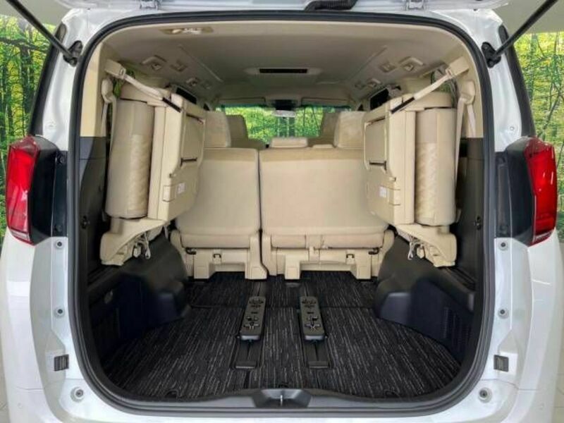 ALPHARD-11