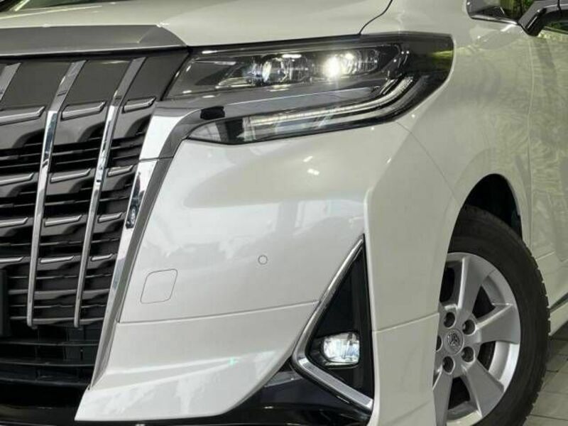 ALPHARD-13