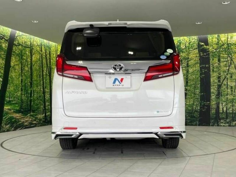 ALPHARD-16