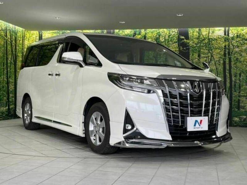 ALPHARD-17