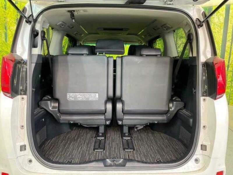 ALPHARD-10