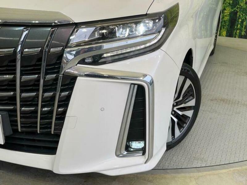 ALPHARD-11