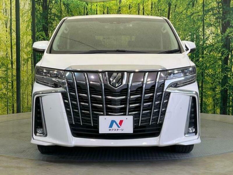 ALPHARD-13