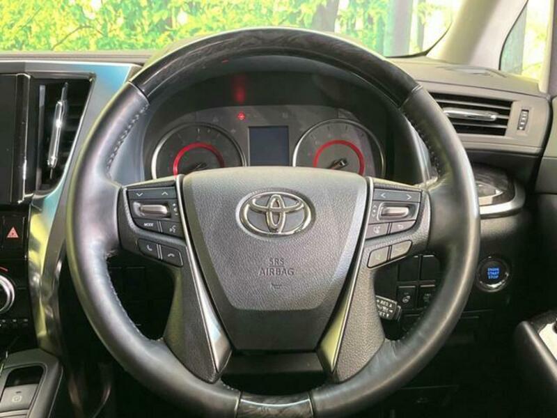 ALPHARD-11