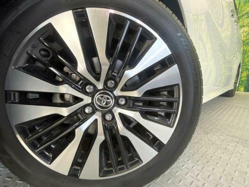 ALPHARD-13