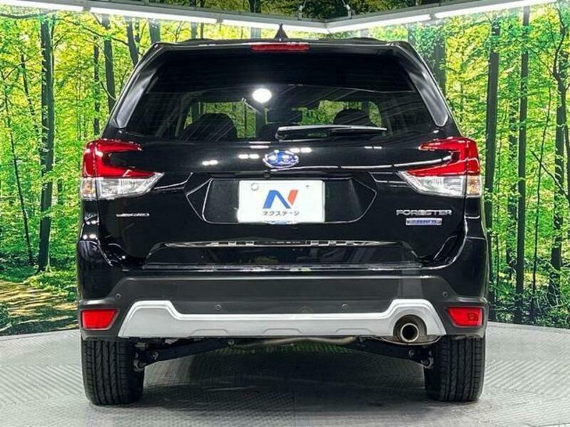 FORESTER-15