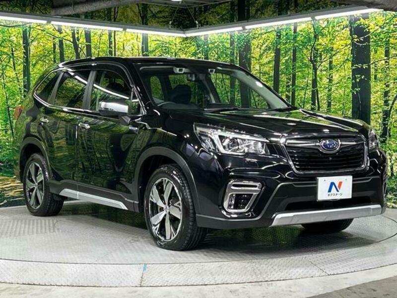 FORESTER-16