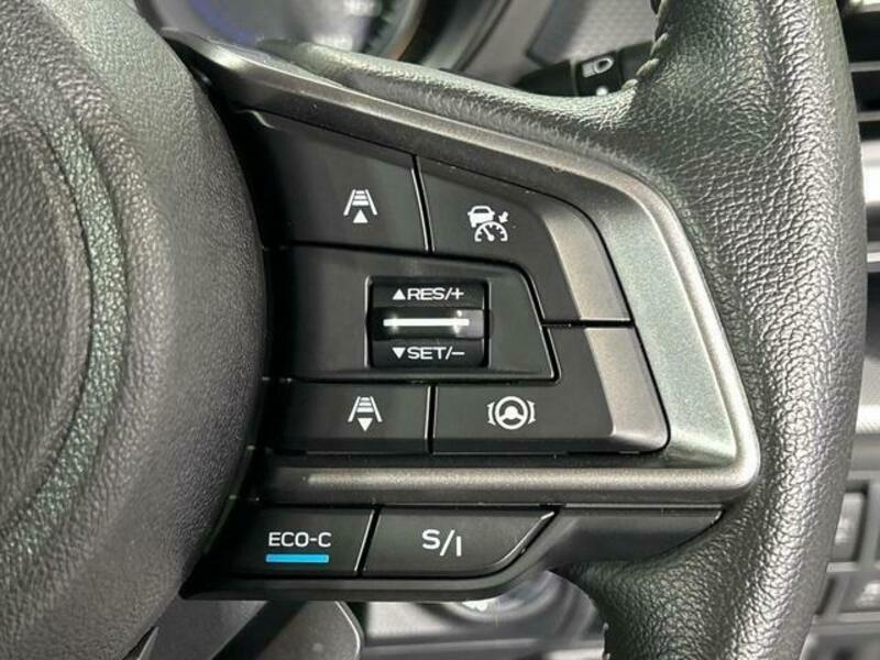 FORESTER-5