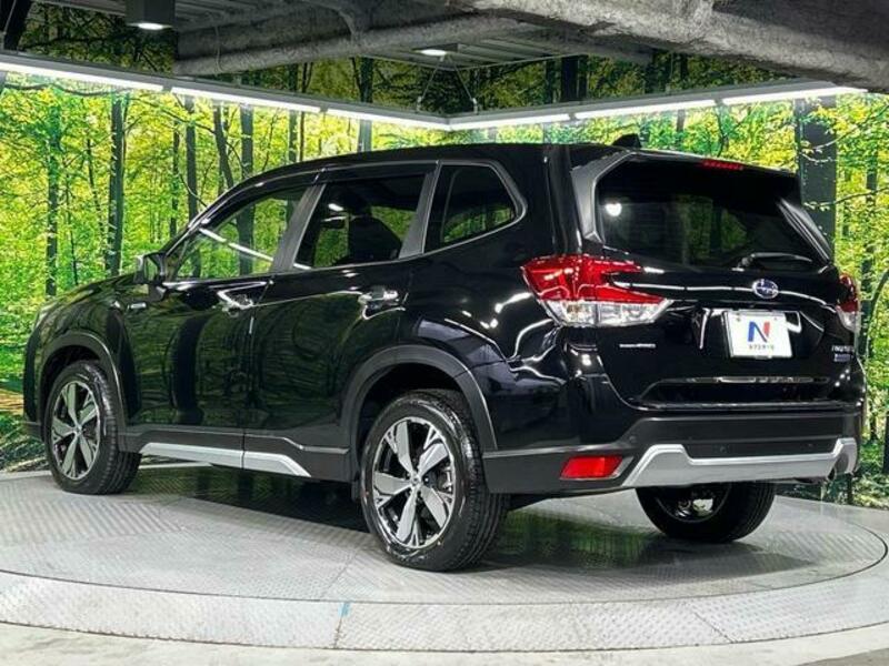 FORESTER-17