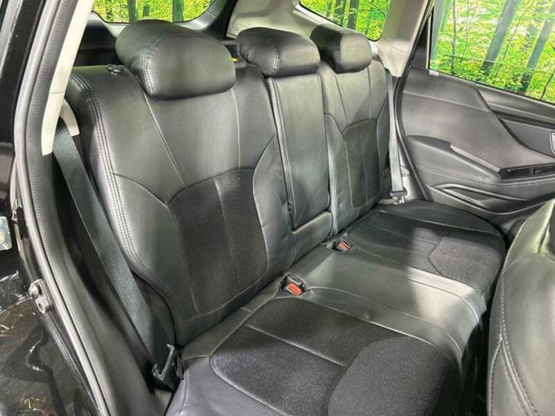 FORESTER-9