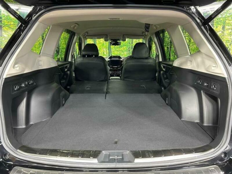 FORESTER-10