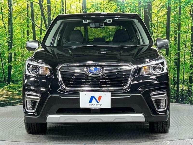 FORESTER-14