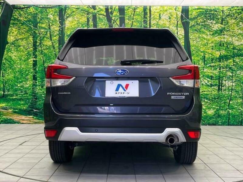 FORESTER-15